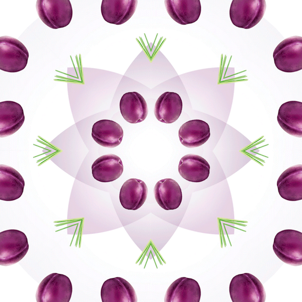 02-pattern_prunes